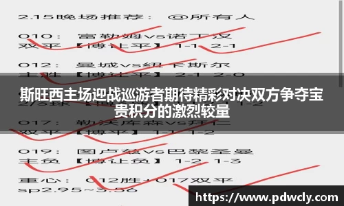 斯旺西主场迎战巡游者期待精彩对决双方争夺宝贵积分的激烈较量
