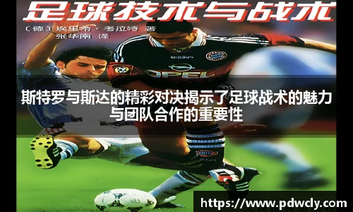 k1体育官网入口