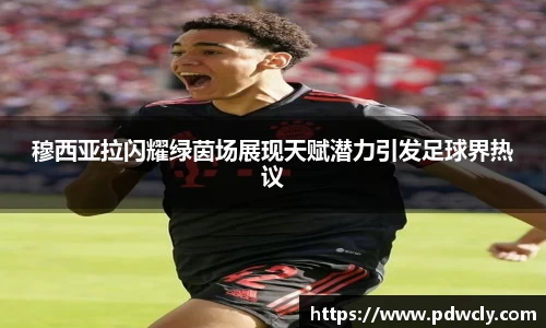 k1体育官网入口