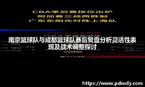 南京篮球队与成都篮球队赛后复盘分析灵活性表现及战术调整探讨
