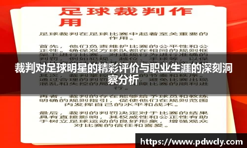 裁判对足球明星的精彩评价与职业生涯的深刻洞察分析