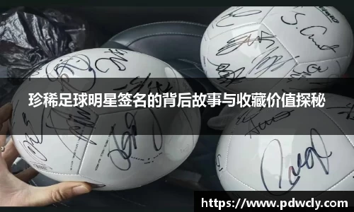 珍稀足球明星签名的背后故事与收藏价值探秘